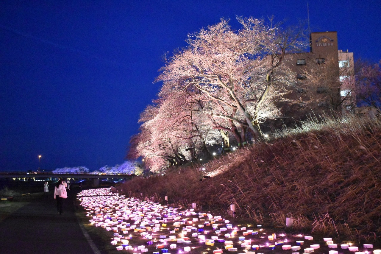 みんなでつくる桜のあかりプロジェクト