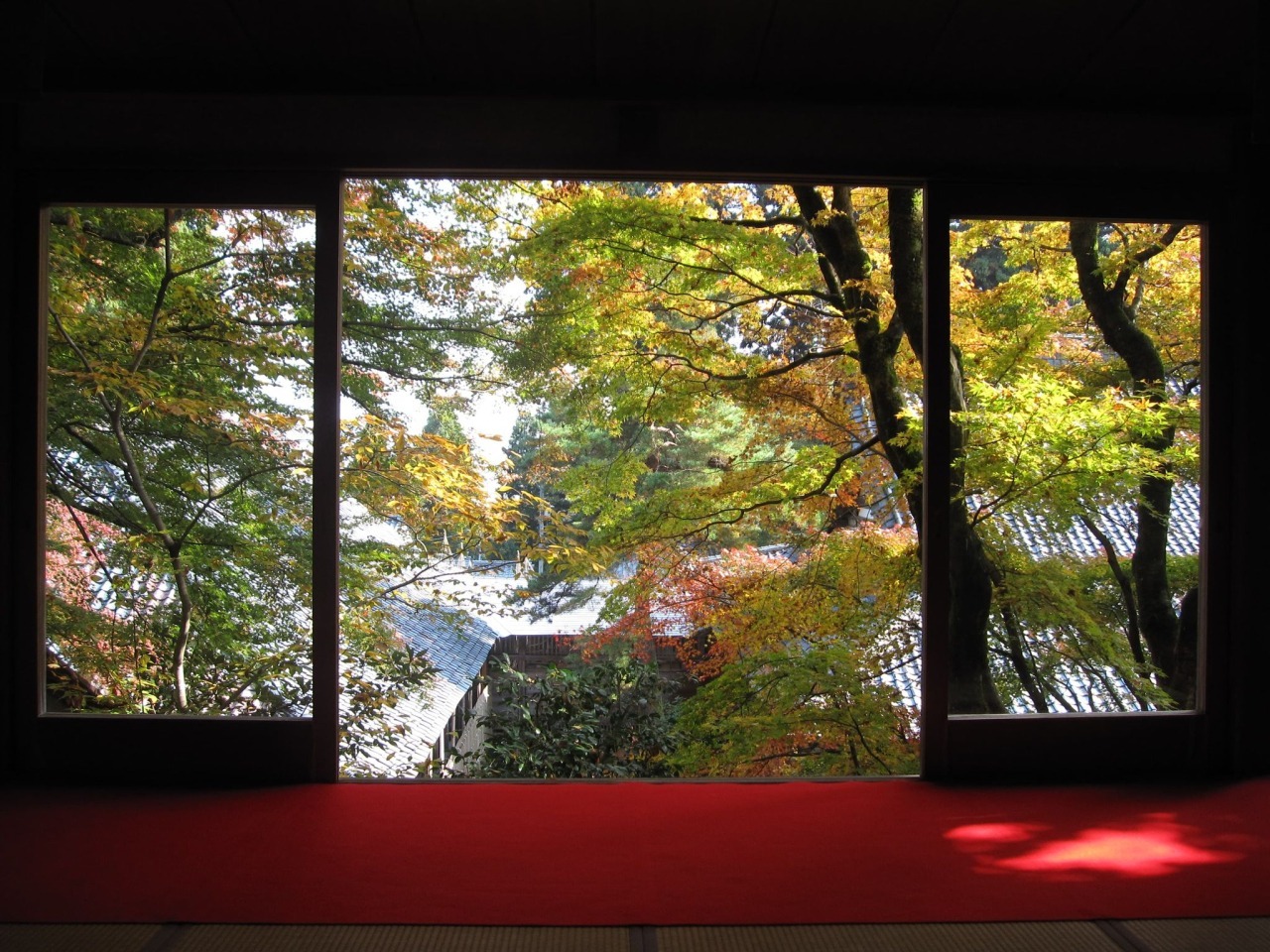 大安禅寺の庭