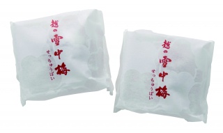 越の雪中梅